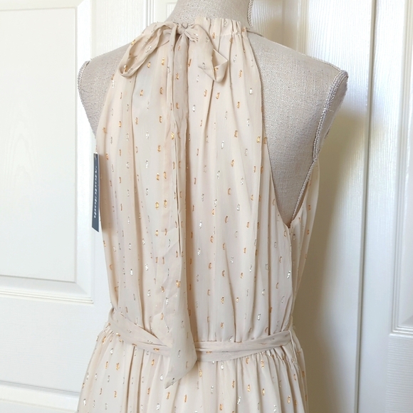 ModCloth Illuminated Elegance Chiffon Maxi Dress in Ivory - Picture 10 of 12